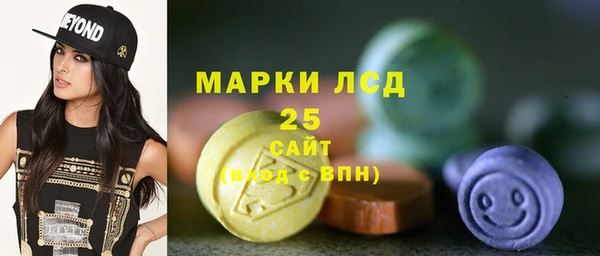 хмурый Алексин