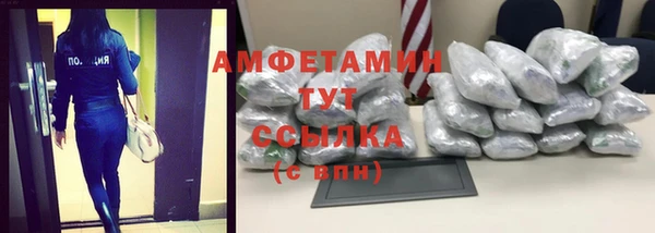 хмурый Алзамай