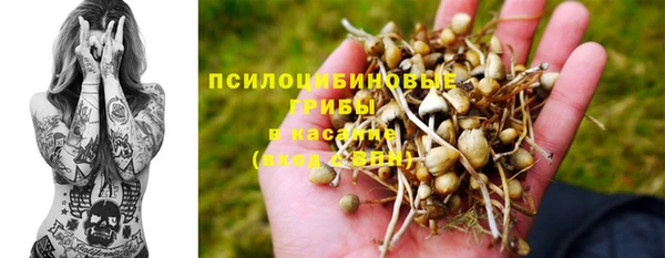 хмурый Алзамай