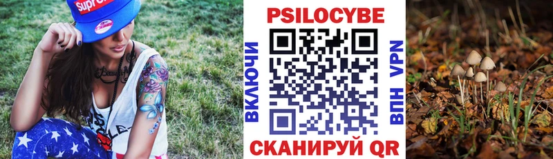 Галлюциногенные грибы мухоморы  цены   MEGA ССЫЛКА  Красноуральск 